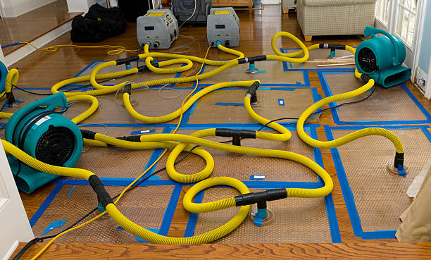 Professional Basement Flood Cleanup technician working in Concho, AZ